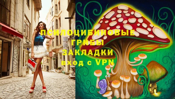 хмурый Пестово