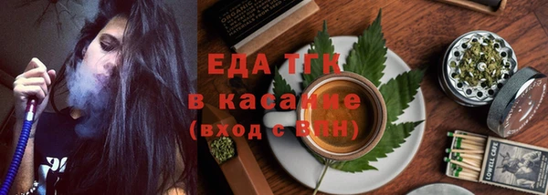 индика Алзамай