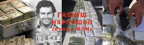 индика Алзамай