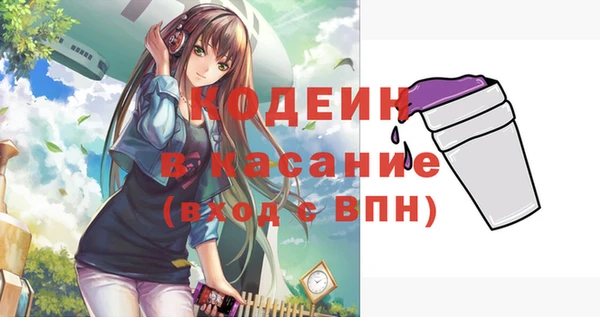 индика Алзамай