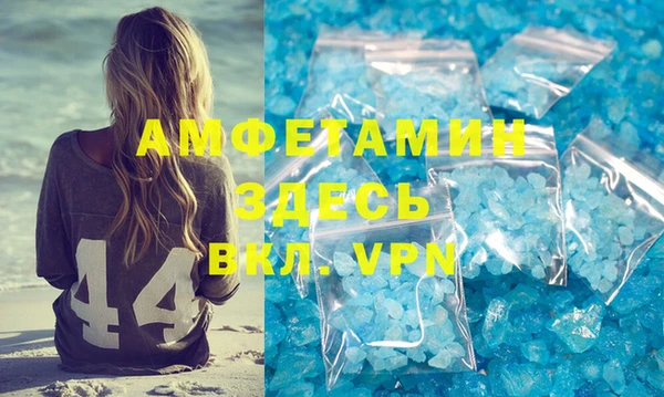 индика Алзамай
