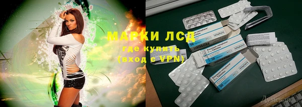 индика Алзамай